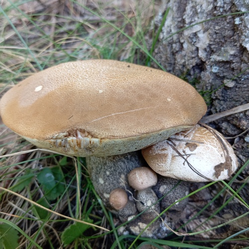 Photo #13969533