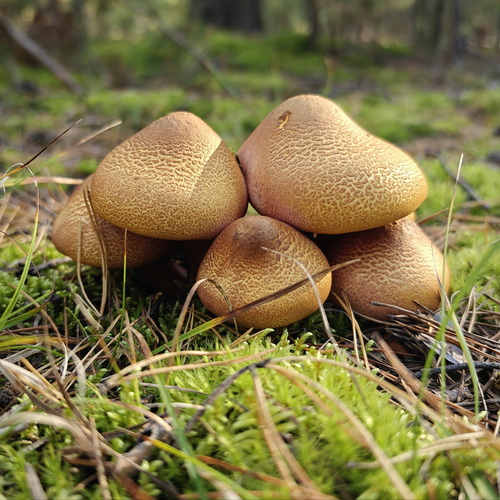 Photo #13969543
