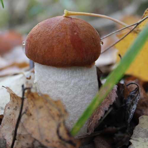 Photo #13969549