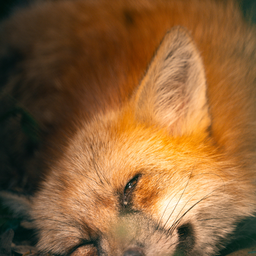 Photo #13969556