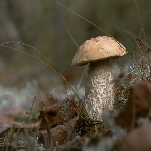 Photo #13969588