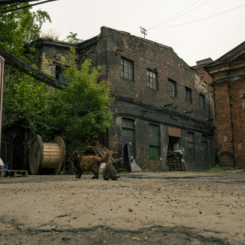 Photo #13969663
