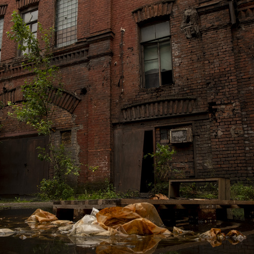 Photo #13969665