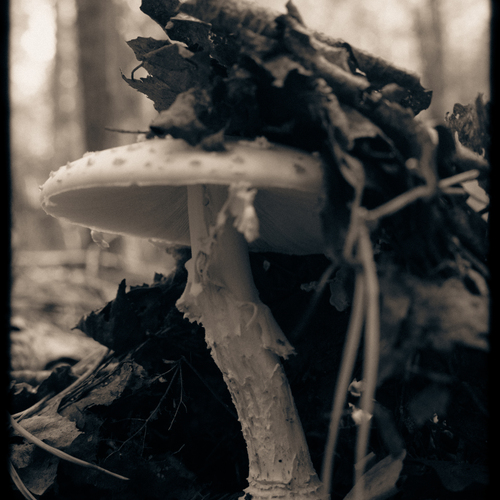 Photo #13969677
