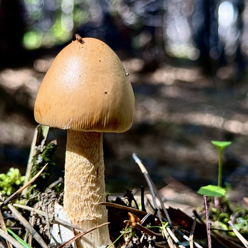 Photo #13969710