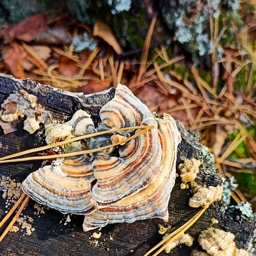 Photo #13969715