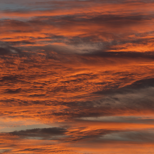 Photo #13969793