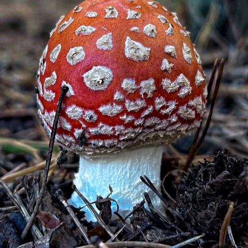 Photo #13969813