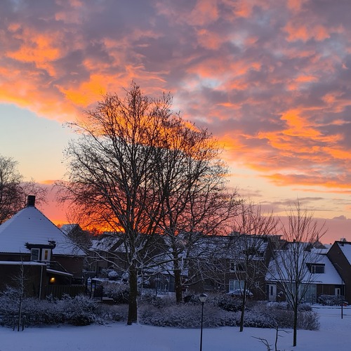 An view in winter