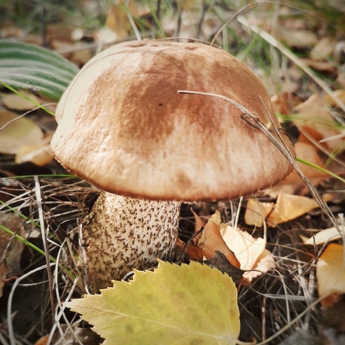 Photo #13969871