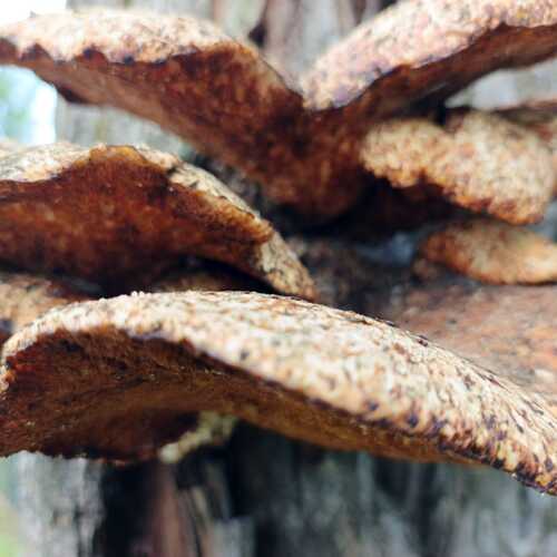 Photo #13969942