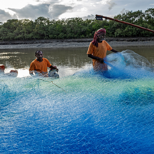 Photo #13969990