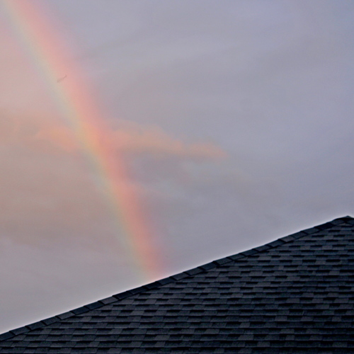 Photo #13970050