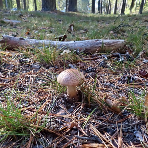Photo #13970051