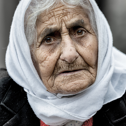 Photo #13970080