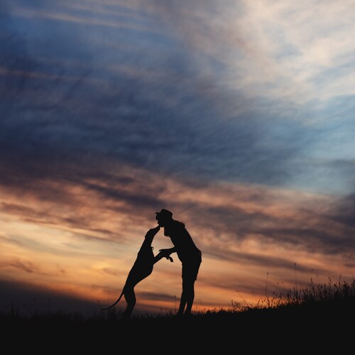 Photo #13970167