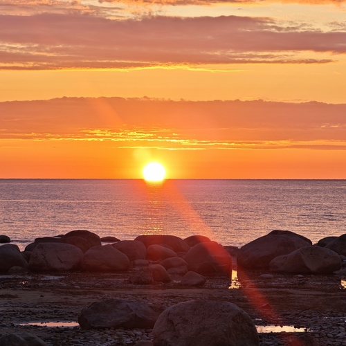 Photo #13970208