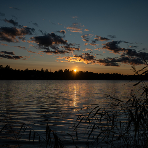 Photo #13970253