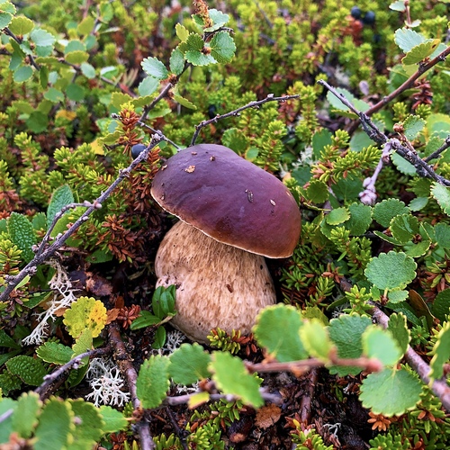 Photo #13970543