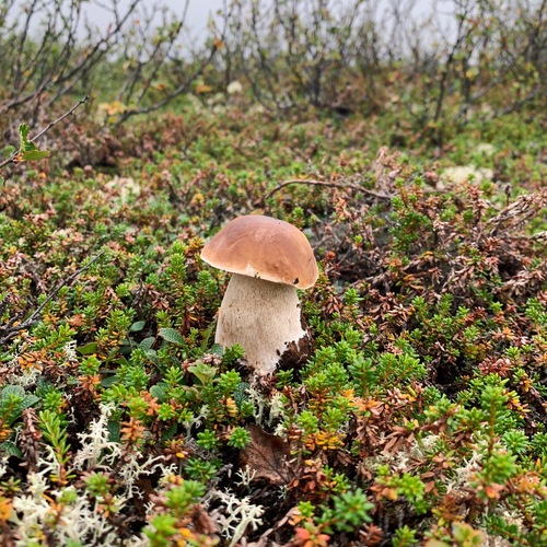 Photo #13970564