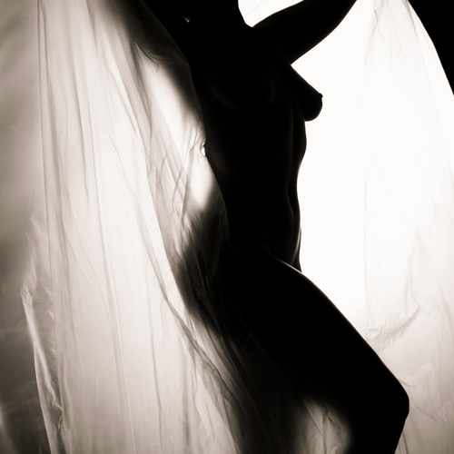 Photo #13970829