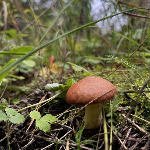 Photo #13970886
