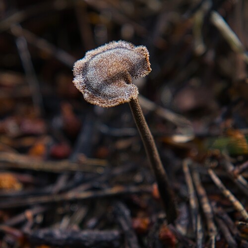 Photo #13970922