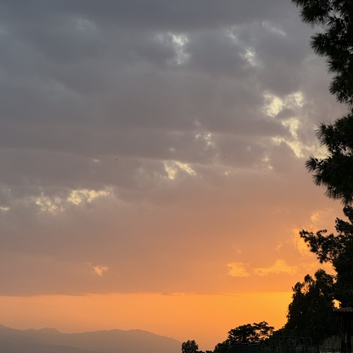 Photo #13970933