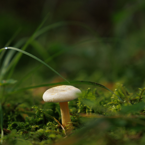 Photo #13970980
