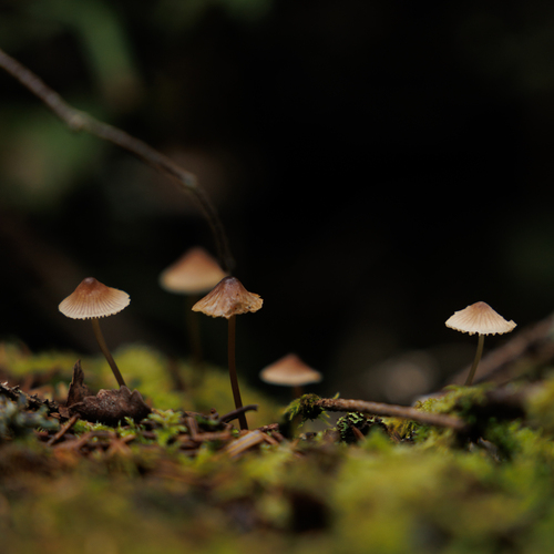 Photo #13970992
