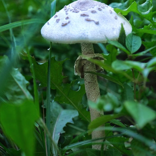 Photo #13970999