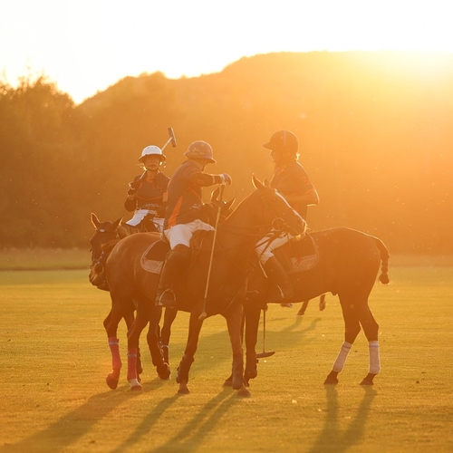 Photo #13971056