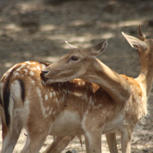 Photo #13971187