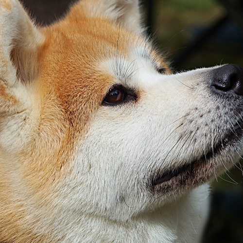 Photo #13971501