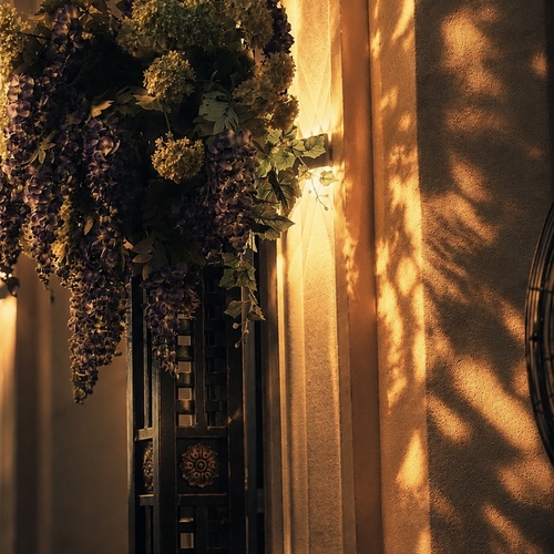 Photo #13971646