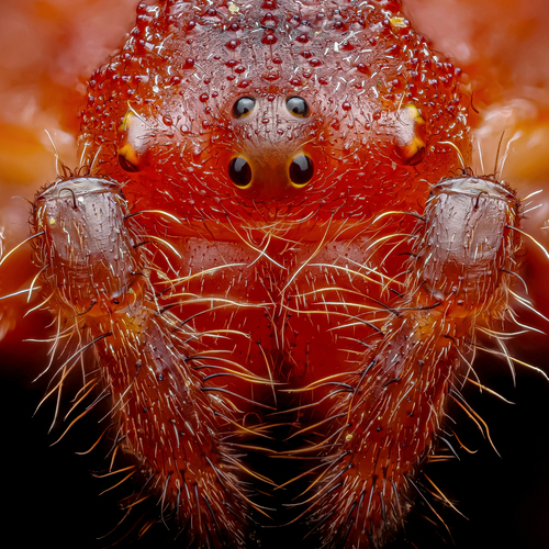 Photo #13971891