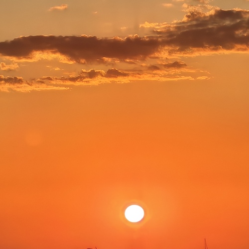 Photo #13972350