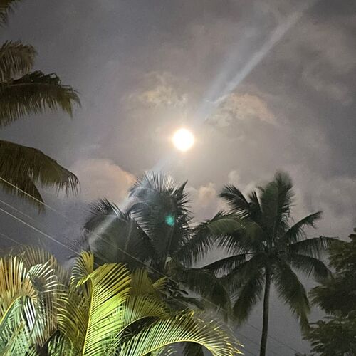 Photo #13972403