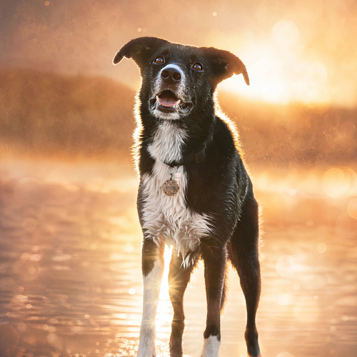 Photo #13972559