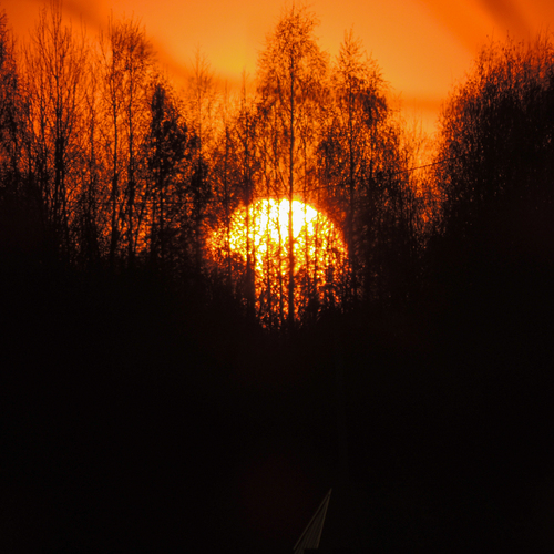 Photo #13972600