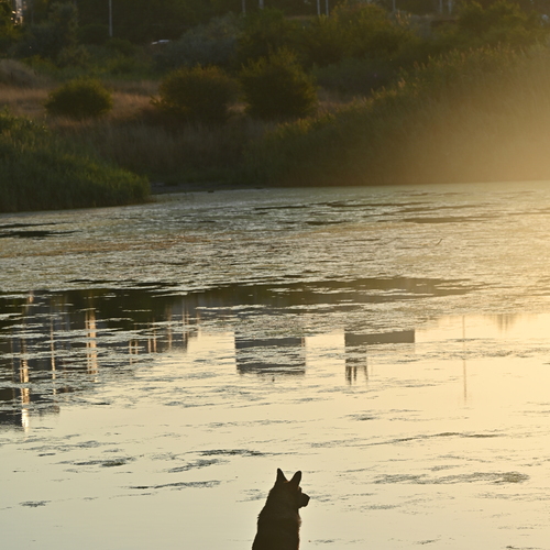 Photo #13972664
