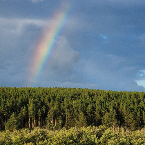 Photo #13972670