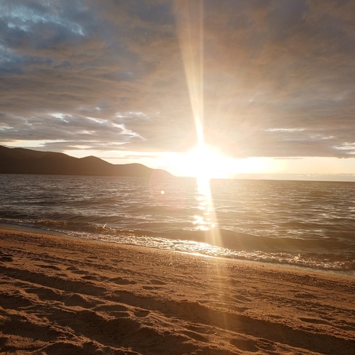 Photo #13973129