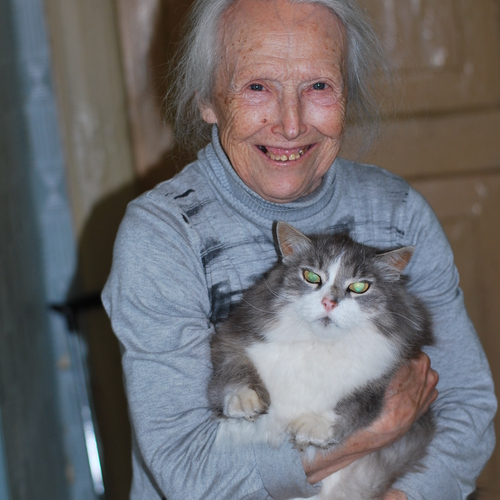 Photo #13973244