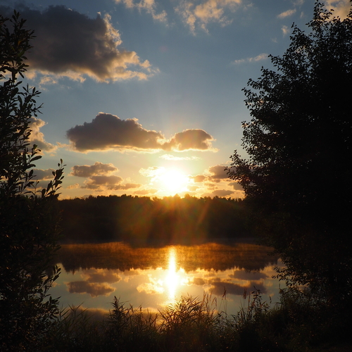Photo #13973289