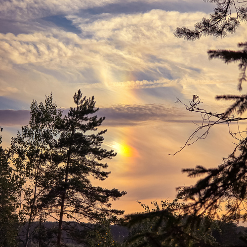 Photo #13973330