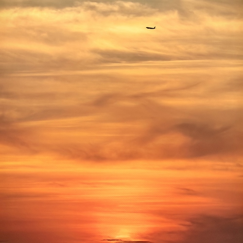 Photo #13973502