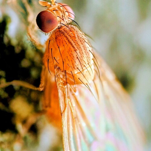 Photo #13973537