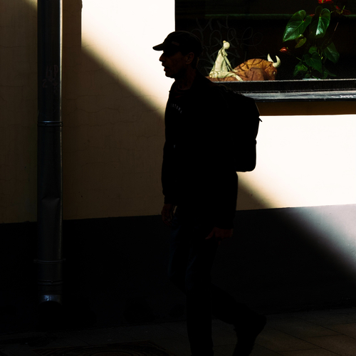Photo #13973763