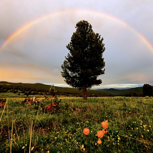 Photo #13973871